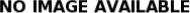 Brachiopod-<I>sp</I> sp